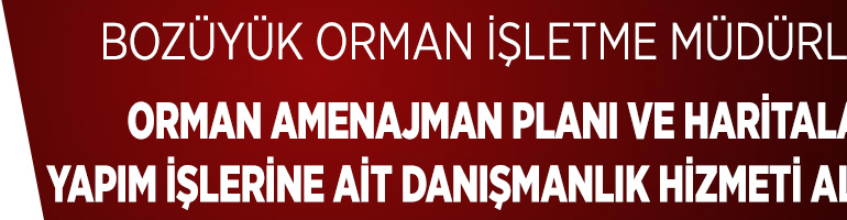 İLAN (2)