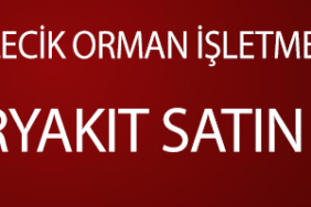 İLANN