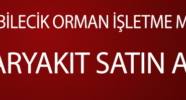 İLANN