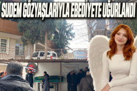 MANŞET (1)