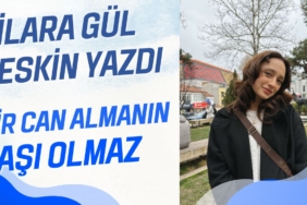 Mavi Modern Yatırım Danışmalığı Youtube Küçük Resmi