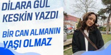 Mavi Modern Yatırım Danışmalığı Youtube Küçük Resmi