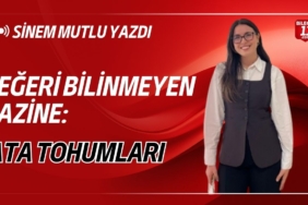 SINEM-MUTLU-YAZDI-116174