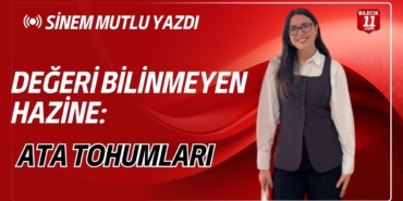 SINEM-MUTLU-YAZDI-116174