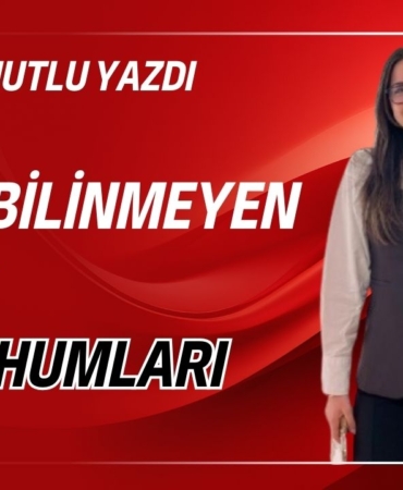 SINEM-MUTLU-YAZDI-116174