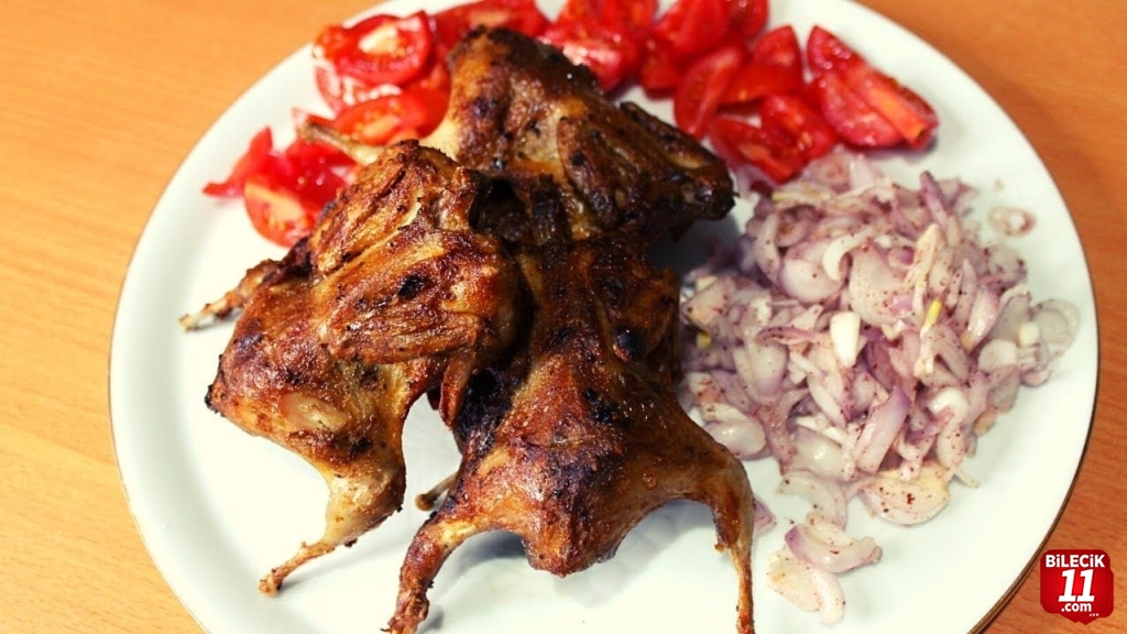 BİLECİK'İN TESCİLLİ YEMEĞİ BILDIRCIN KEBABI