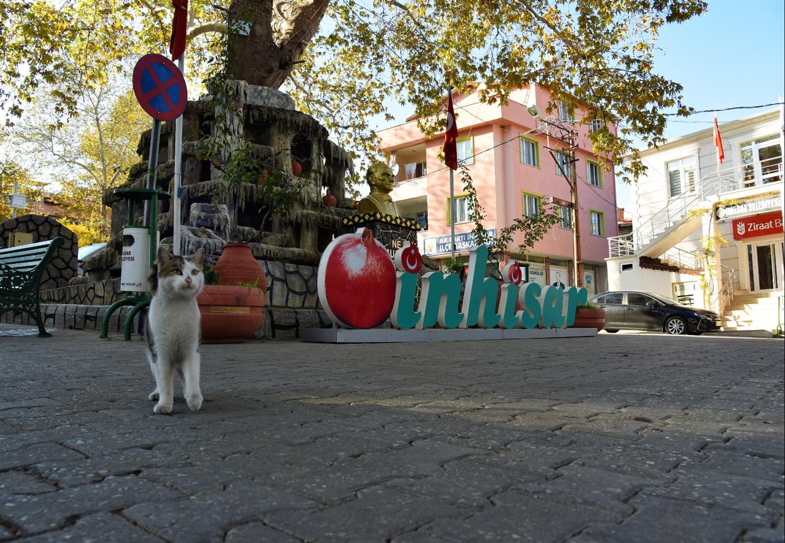 En fazla Bozüyük en az İnhisar