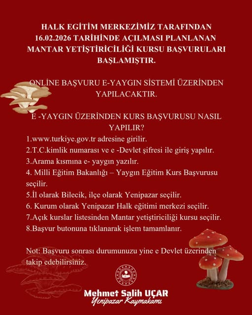 Yenipazar’da Yeni Kazanç Kapısı: Mantar Yetiştiriciliği Kursu Başlıyor