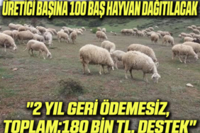 destek