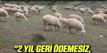 destek