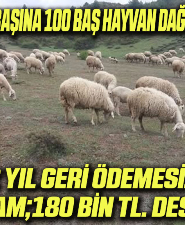 destek