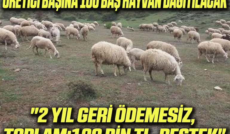 destek