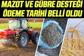 destek