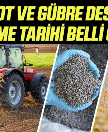 destek