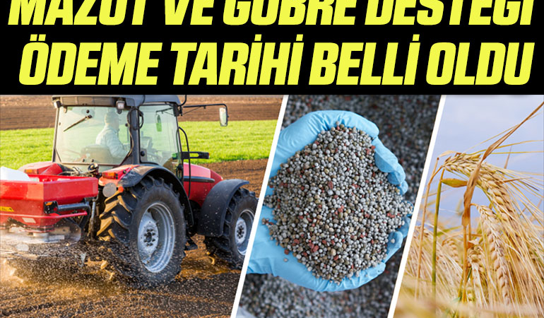 destek