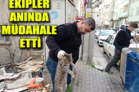edhgrjntdgj