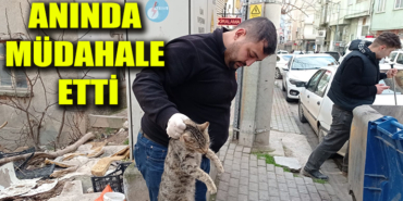 edhgrjntdgj