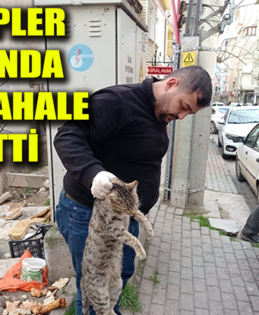 edhgrjntdgj