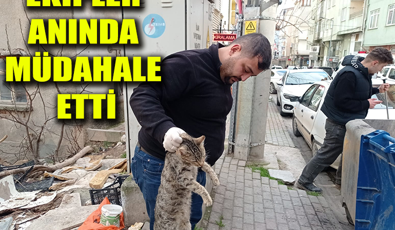 edhgrjntdgj