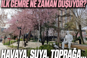 gfjugfj