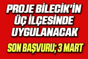 ilçe