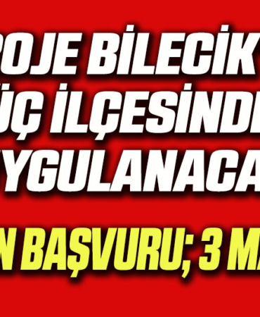 ilçe