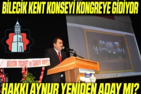kent konseyi