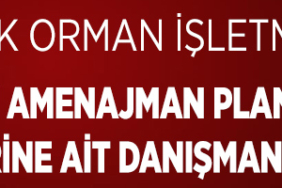 orman ilan