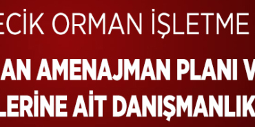 orman ilan