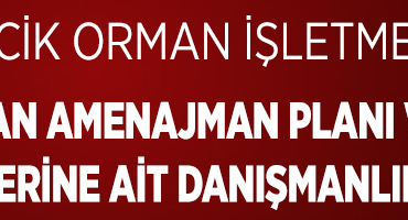 orman ilan