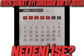 şubat