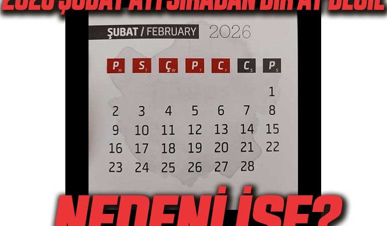 şubat