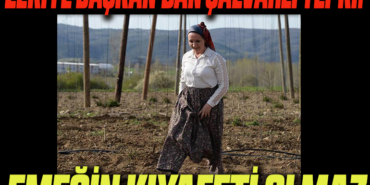 tepki
