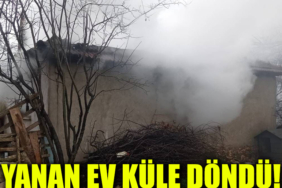 yanan ev