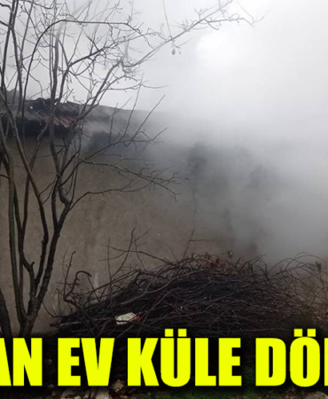 yanan ev