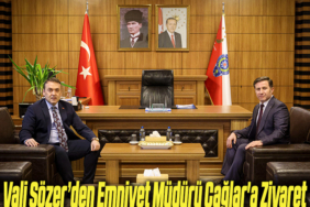 ziyaret