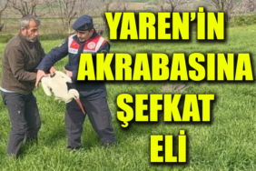 5RUYHR7I