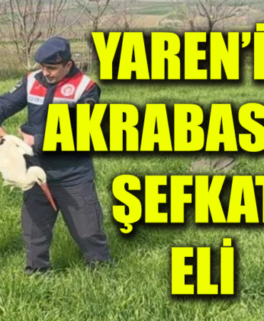 5RUYHR7I