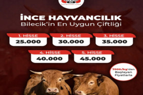 İNCE