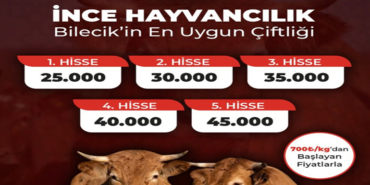 İNCE