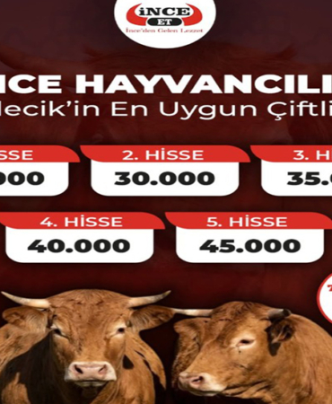 İNCE