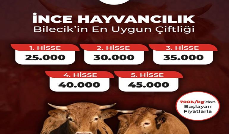 İNCE