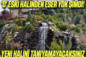 ŞŞ