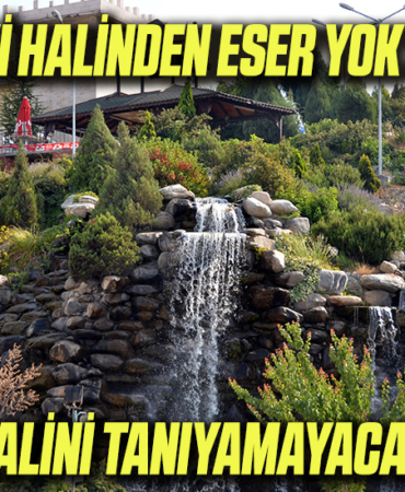 ŞŞ