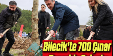 çınar