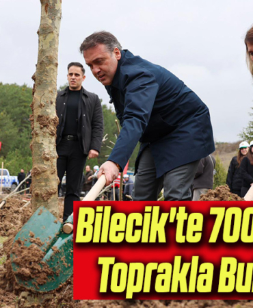 çınar