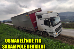 degrshrtdd