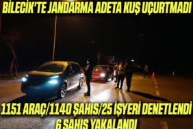 denetim