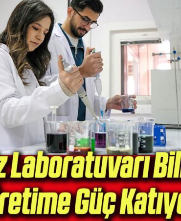 lab