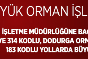 orman